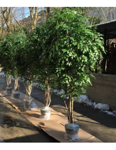 Stort kunstigt Birketræ... 2