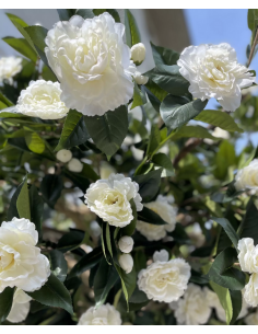 Stort kunstigt deluxe... 2