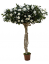 Stort kunstigt deluxe Camelia blomster træ H250 - 275 cm