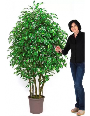 Stort kunstigt Ficus træ H200 cm