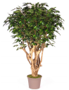 Stort kunstigt deluxe Ficus træ H200 cm