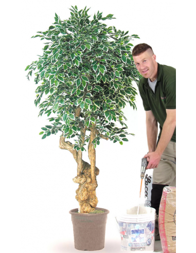 Stort kunstigt deluxe Ficus træ H200 cm