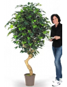 Stort kunstigt Ficus træ H200 cm