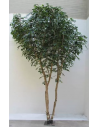 Stort kunstigt deluxe Ficus træ H350 cm