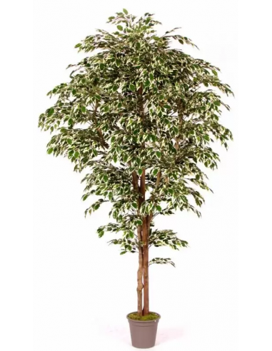 Stort kunstigt Ficus træ H175 cm