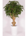 Stort kunstigt Ficus træ H200 cm