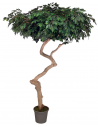 Stort kunstigt deluxe Ficus træ H275 cm