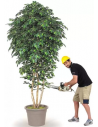 Stort kunstigt deluxe Ficus træ H350 cm