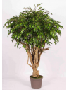 Stort kunstigt Ficus træ H200 cm