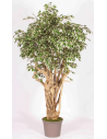 Stort kunstigt Ficus træ H225 cm