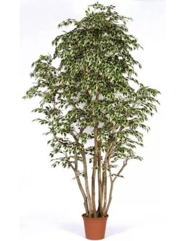 Stort kunstigt Ficus træ H250 cm