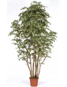 Stort kunstigt Ficus træ H250 cm