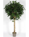 Stort kunstigt Ficus Longifolia træ H250 cm