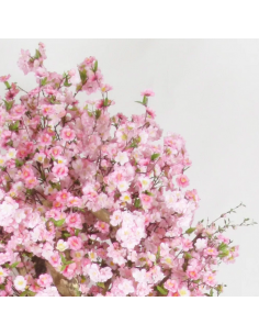 Stort kunstigt Pesco... 2