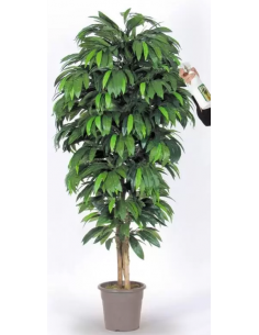 Stort kunstigt mangotræ...