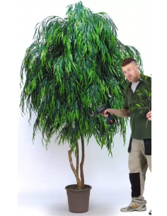 Stort kunstigt Salicetræ...