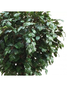 Stort kunstigt Egetræ H400 cm 2