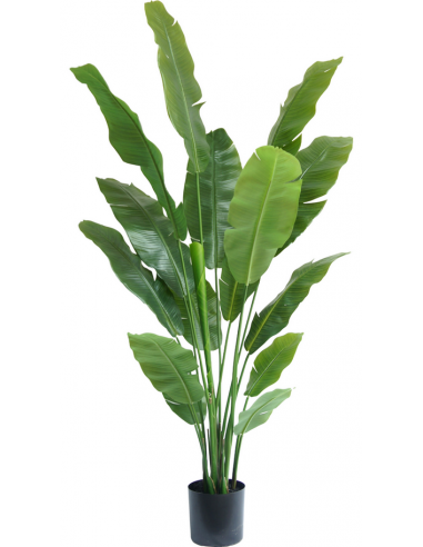 Stor kunstig deluxe Strelitzia plante H180 cm