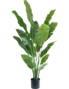 Stor kunstig deluxe Strelitzia plante H180 cm