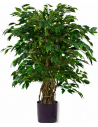 Stor kunstig Ficus Liana plante H120 cm