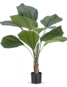 Stor kunstig Lucuala Grandis plante H120 cm