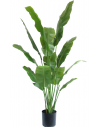 Stor kunstig deluxe Strelitzia plante H165 cm