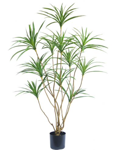 Kunstig Dracaena plante H150 cm