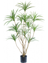 Kunstig Dracaena plante H150 cm