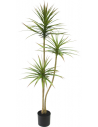 Kunstig Dracaena plante H150 cm