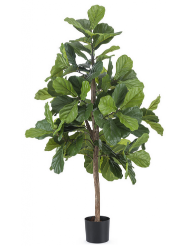 Kunstigt Fiddle Leaf træ H150 cm