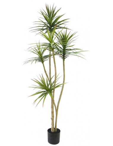 Kunstig Dracaena plante H180 cm