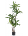 Kunstig Dracaena Fragnans plante H150 cm