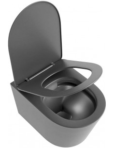 væghængt toilet farvet 2