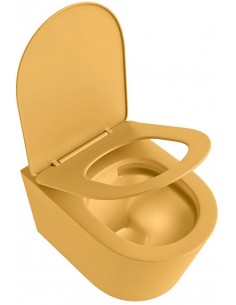 væghængt toilet farvet 2