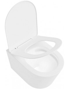 væghængt toilet farvet 2