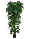 Kunstigt Monstera træ H235 cm