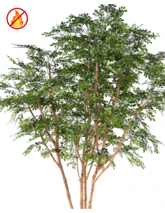 Stort kunstigt Bucidatræ... 2