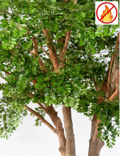 Stort kunstigt Bucidatræ... 2