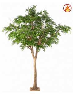Stort kunstigt Bucidatræ...