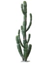 Kunstig Euphorbia kaktus H250 cm