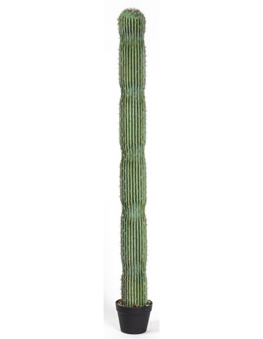 Kunstig Euphorbia kaktus H163 cm