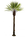 Kunstig New Zealand bregne palme H270 cm