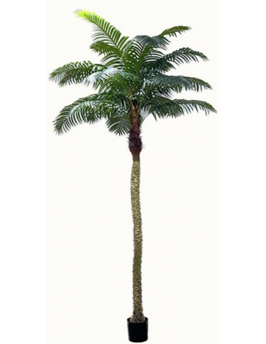 Kunstig Robellini palme H300 cm