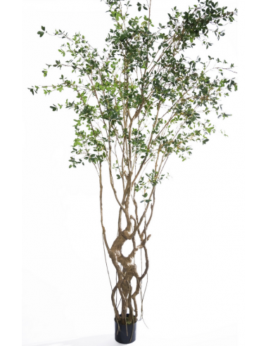 Kunstigt Microcarpa træ H300 cm