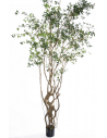 Kunstigt Microcarpa træ H300 cm