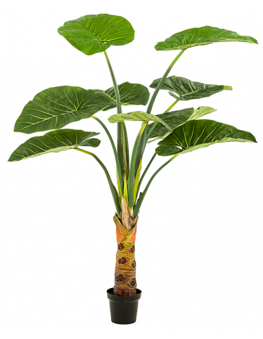 Kunstig Alocasia plante H160 cm