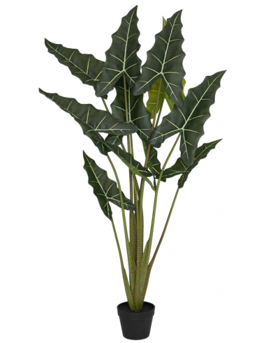 Kunstig Alocasia Taro plante H160 cm