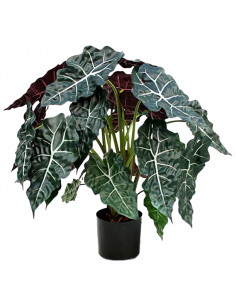 Kunstig Alocasia Polly...