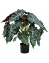 Kunstig Alocasia Polly plante H75 cm