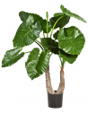 Kunstig Alocasia Calidora plante H100 cm